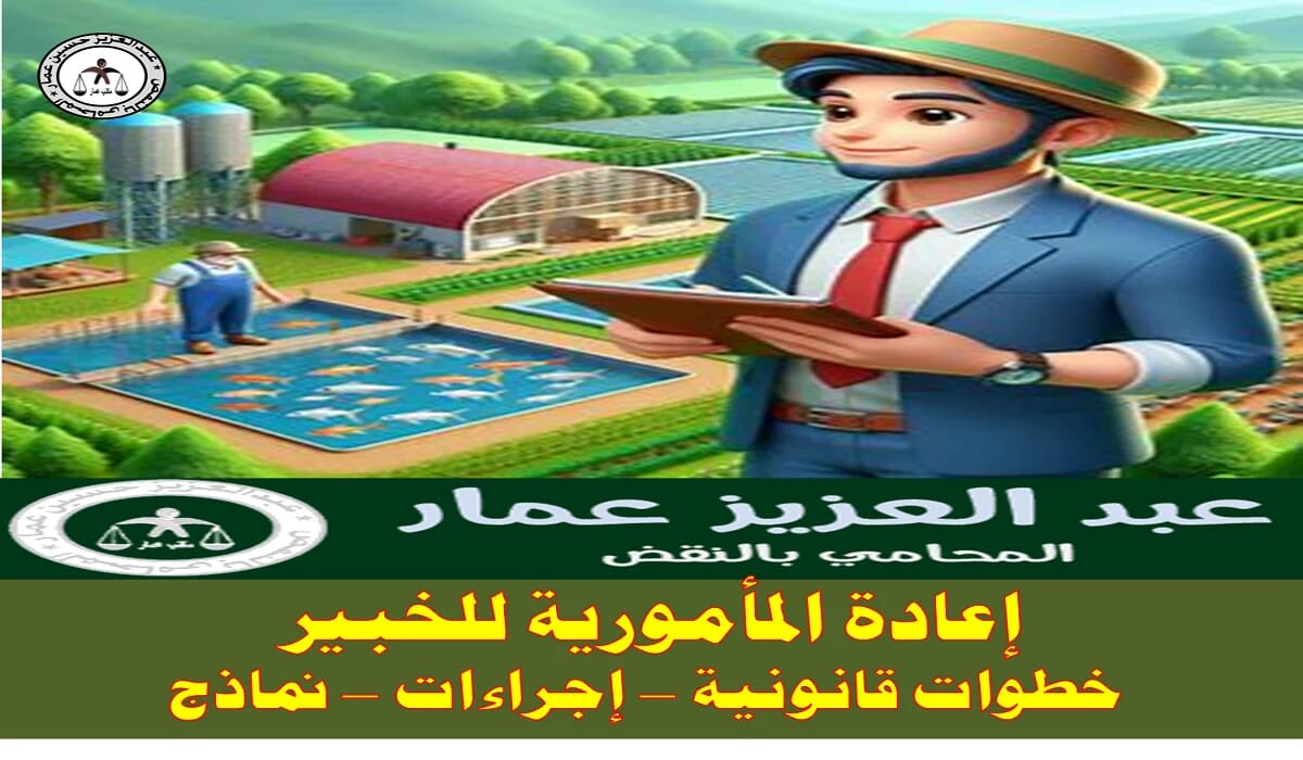 إعادة المأمورية للخبير 