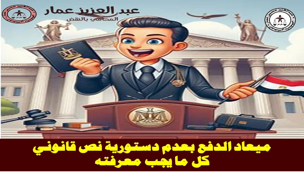 ميعاد الدفع بعدم دستورية نص قانوني 2 الدفع بعدم دستورية نص قانوني