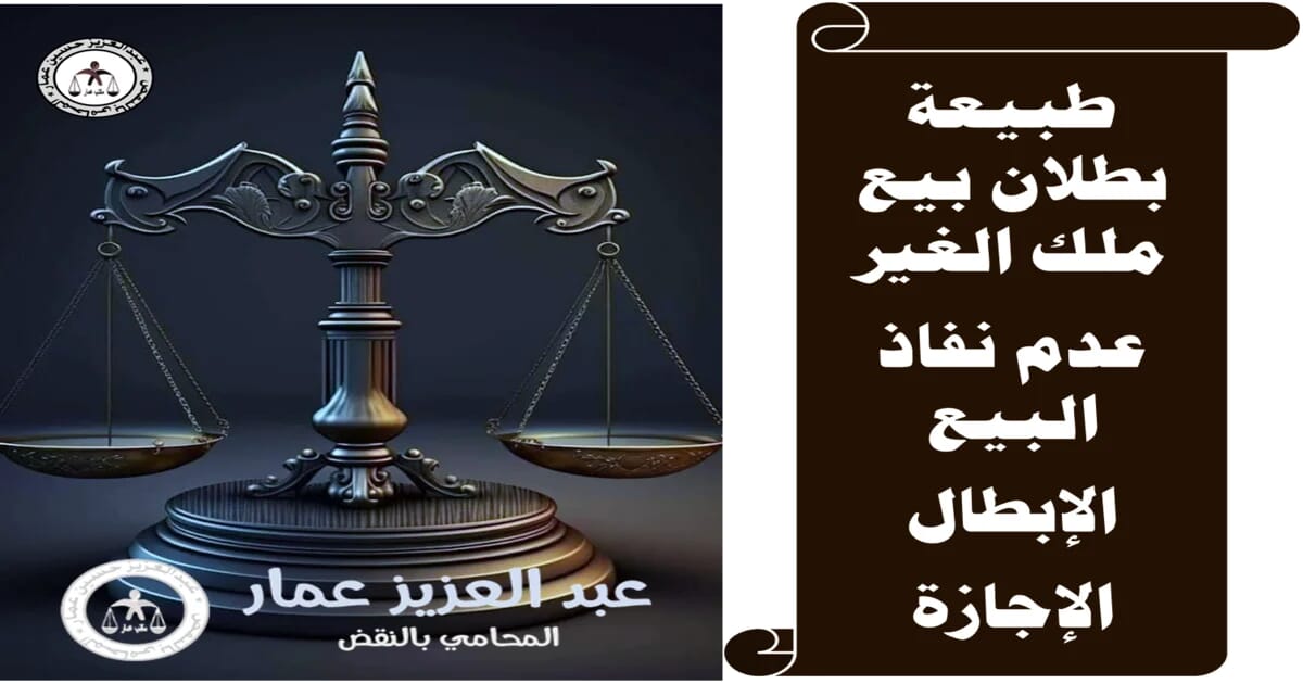 البطلان وعدم النفاذ في بيع ملك الغير