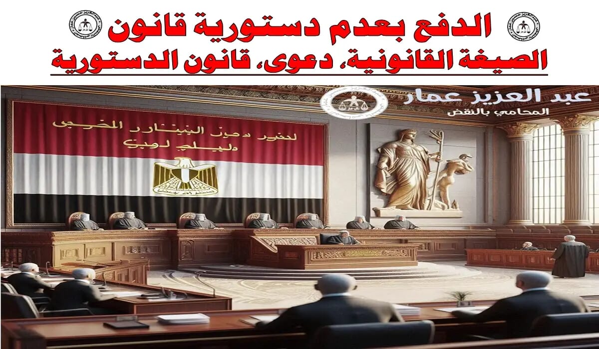 الدفع بعدم دستورية قانون: الصيغة، الدعوى، قانون الدستورية 8 الدفع بعدم دستورية قانون