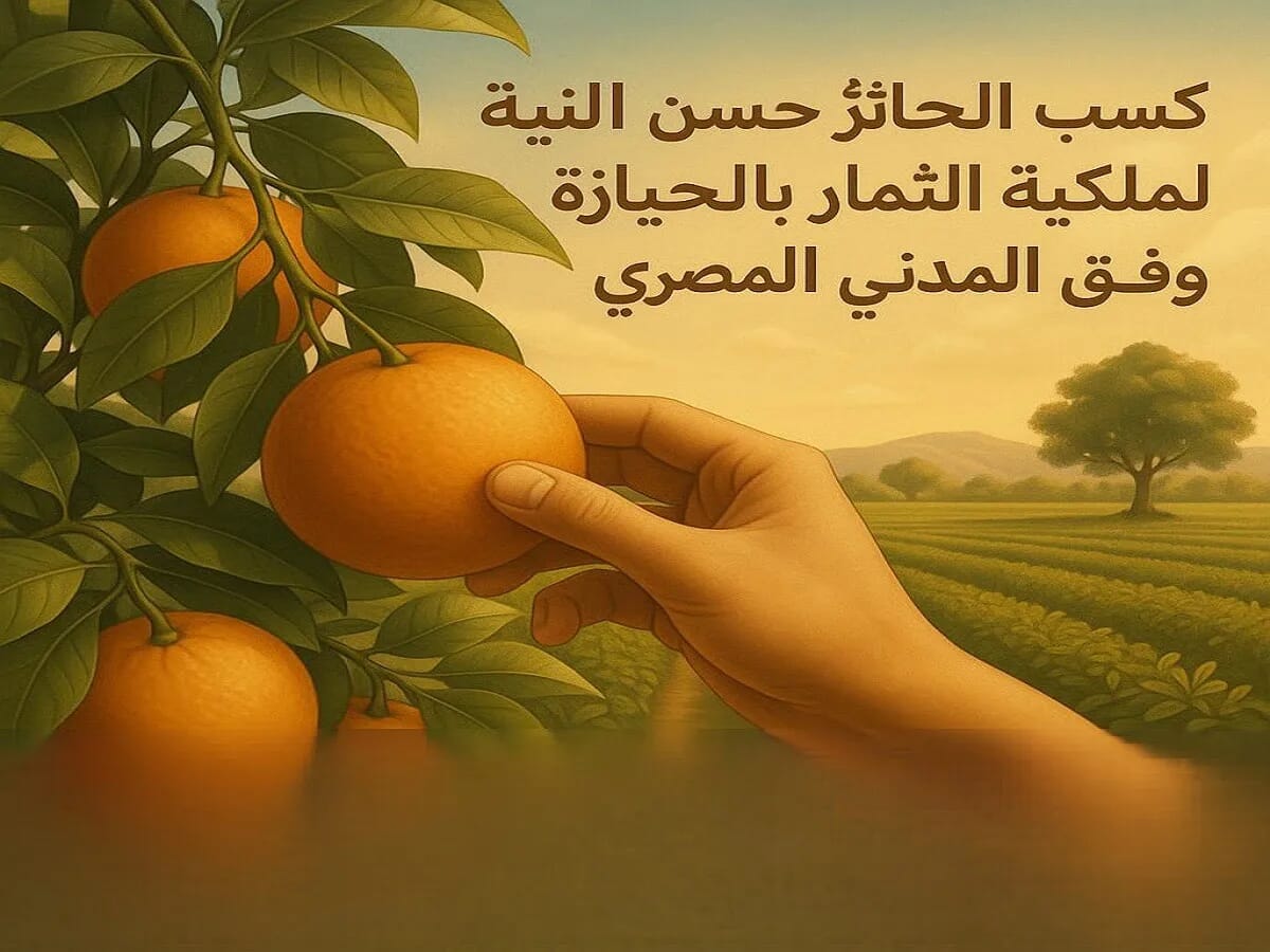 أسباب كسب الحائز حسن النية لملكية الثمار بالحيازة وفق القانون المدني المصري